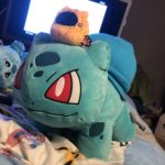 bulbasaur_berretto_img07_twitter_pokemontimes-it