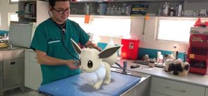 veterinario_go_pokemontimes-it