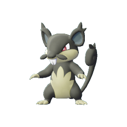 Rattata Forma Alola